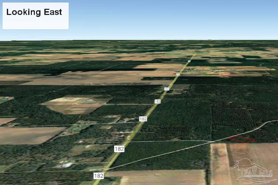 9209 Sage Frst Lane Pace, FL 32571 - Photo 23 of 26