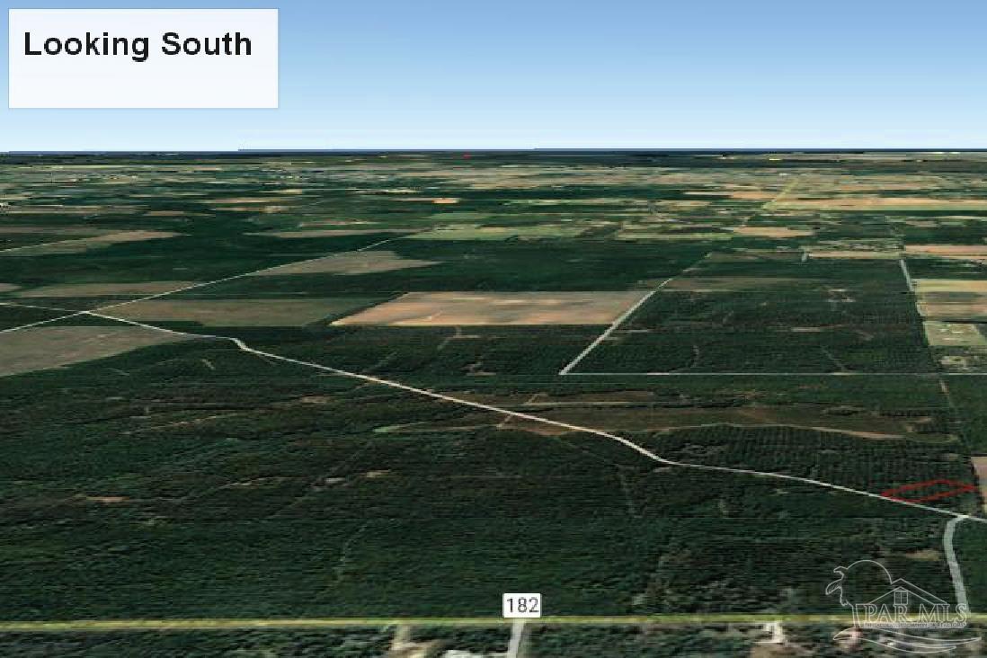 9209 Sage Frst Lane Pace, FL 32571 - Photo 26 of 26