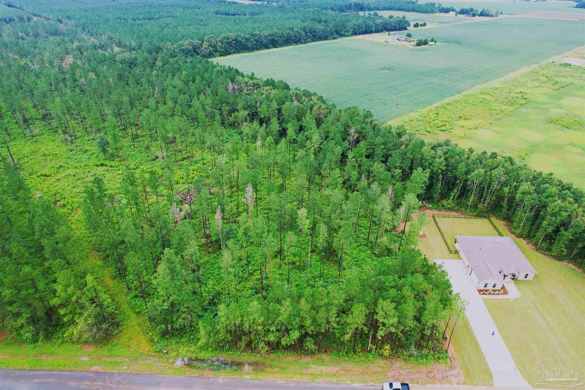 9209 Sage Frst Lane Pace, FL 32571 - Photo 3 of 26 an aerial view of a house with a yard