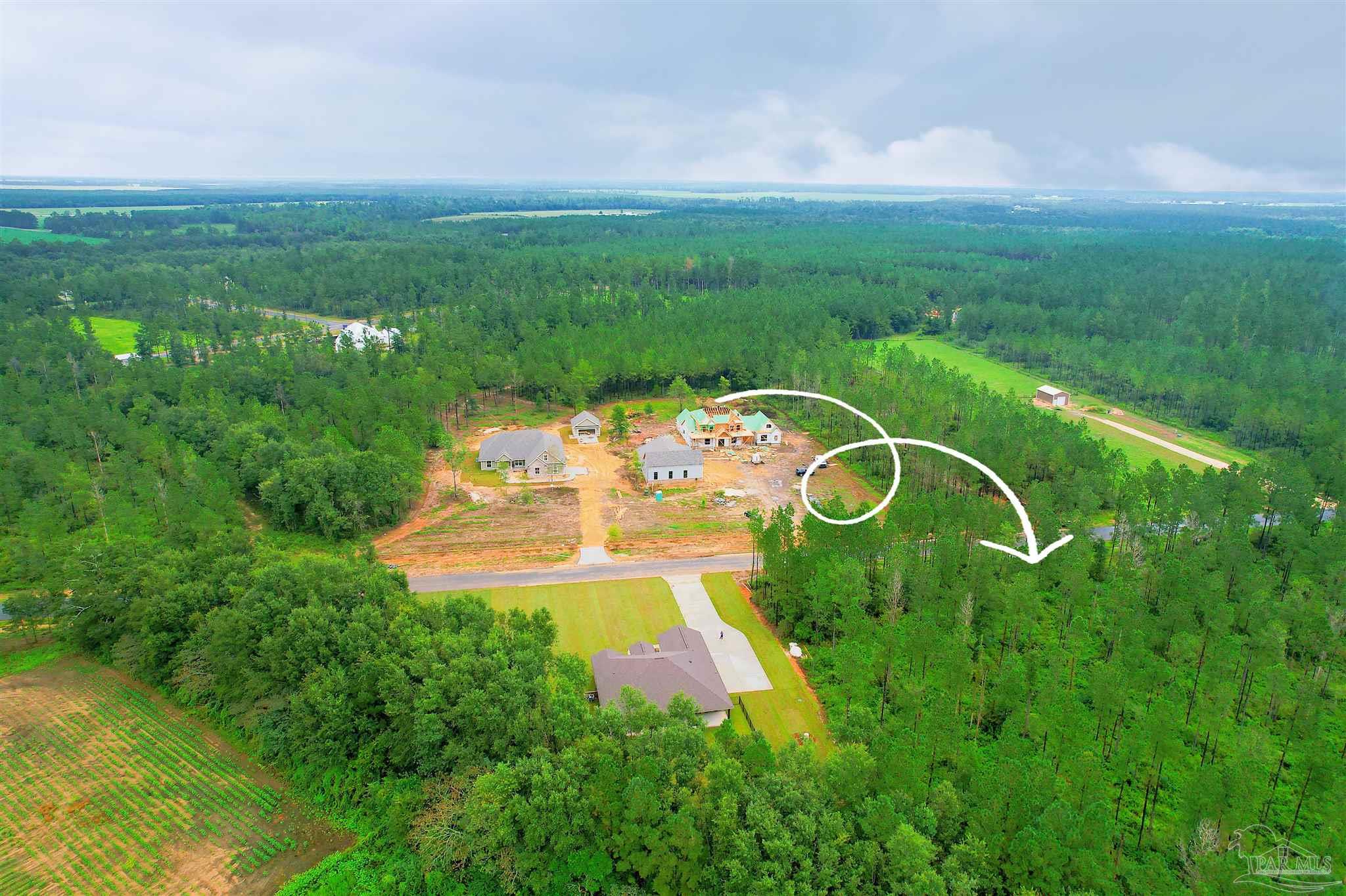 9209 Sage Frst Lane Pace, FL 32571 - Photo 4 of 26 a view of a swimming pool with a yard