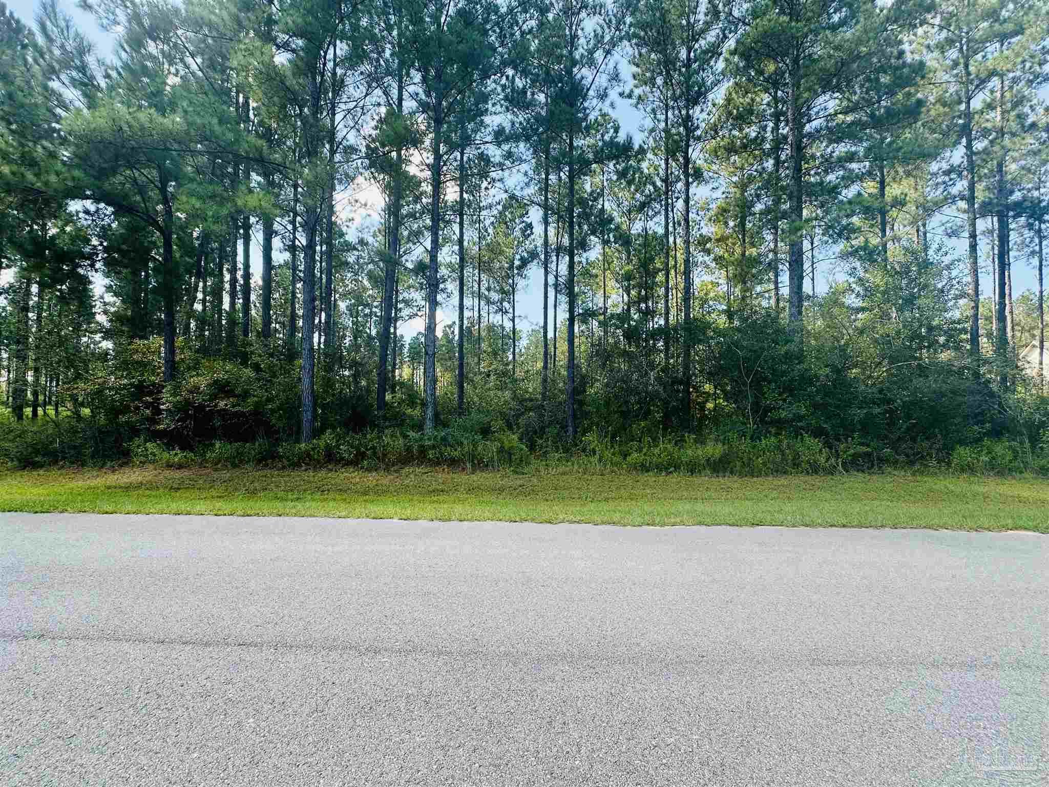 9209 Sage Frst Lane Pace, FL 32571 - Photo 7 of 26 a view of road and trees