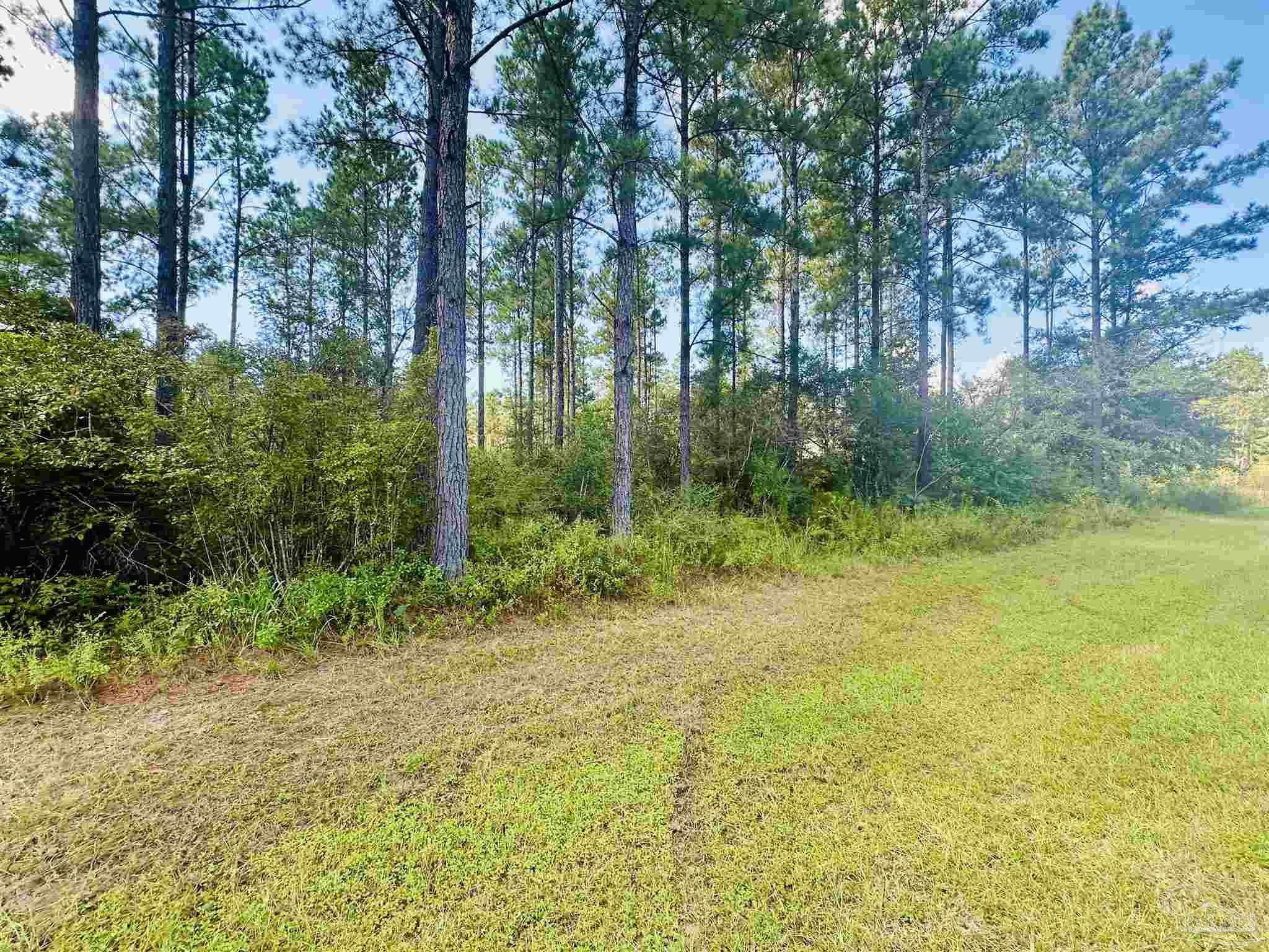 9209 Sage Frst Lane Pace, FL 32571 - Photo 8 of 26 a view of backyard with green space