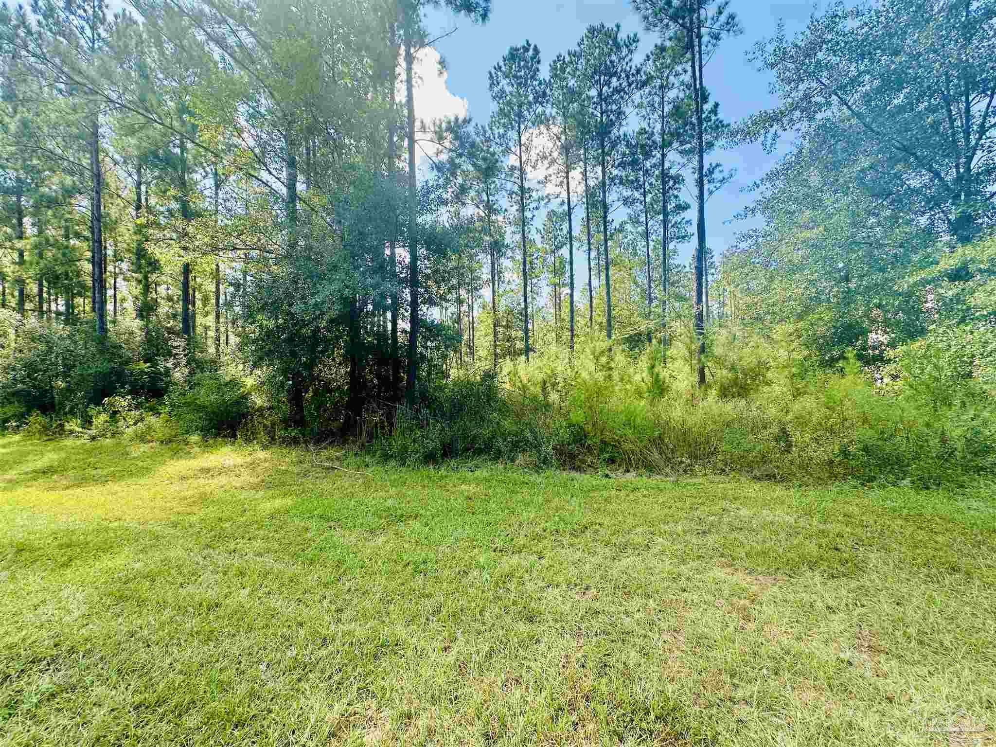 9209 Sage Frst Lane Pace, FL 32571 - Photo 9 of 26 a view of a garden
