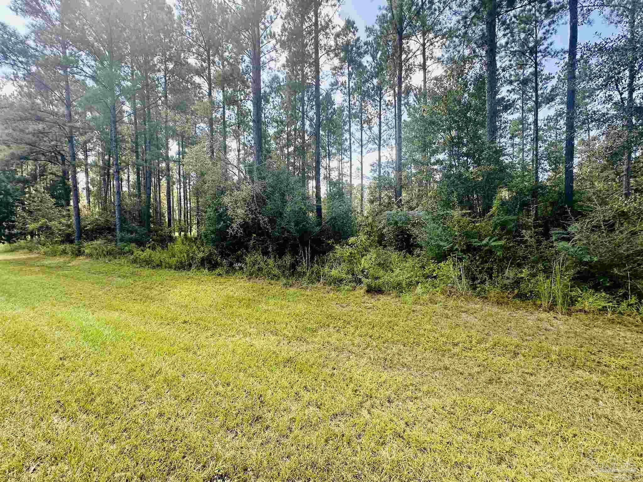 9209 Sage Frst Lane Pace, FL 32571 - Photo 10 of 26 a view of outdoor space with deck and tree