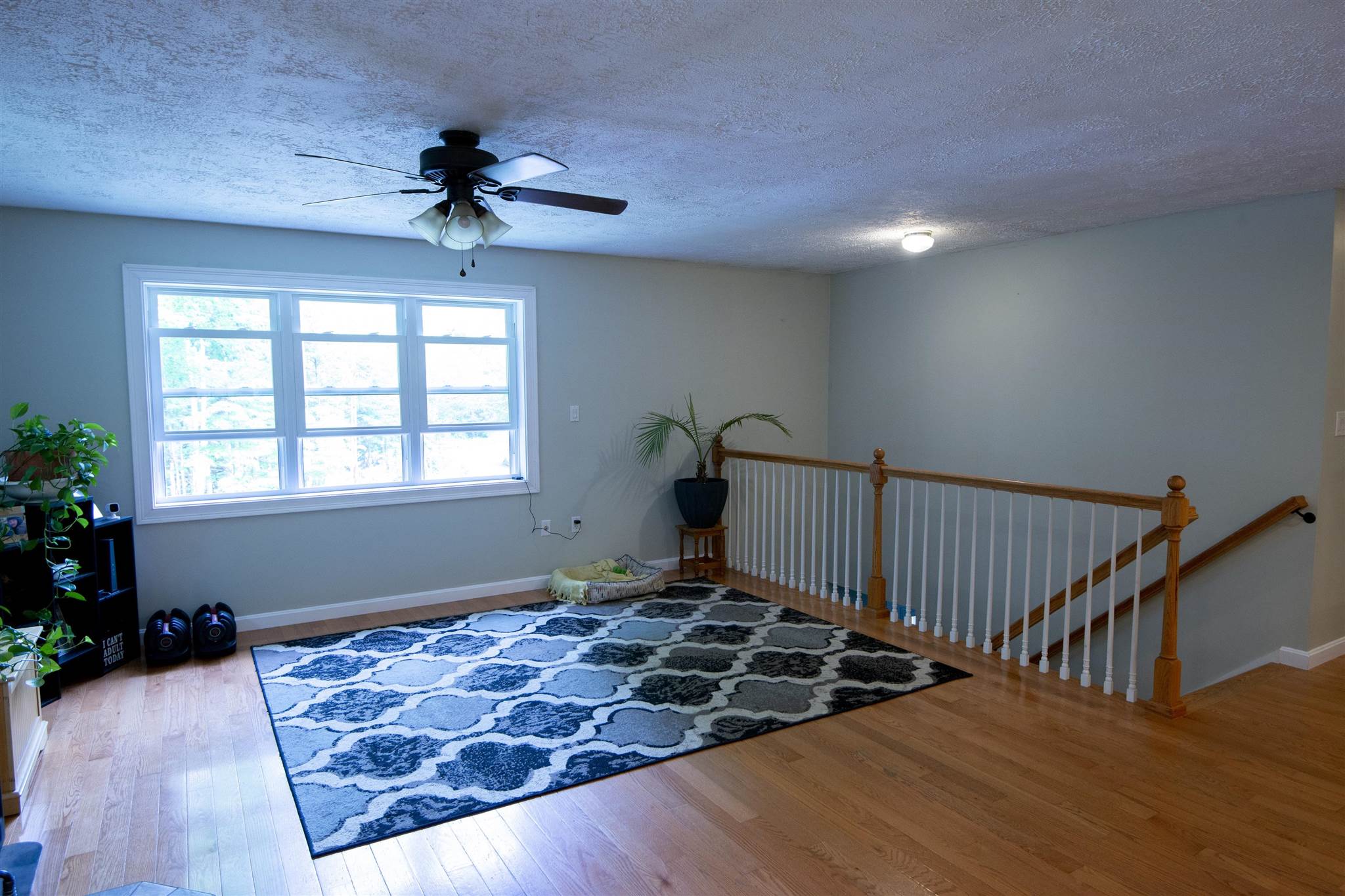 781 New Hampton Road Sanbornton, NH 03269 - Photo 22 of 40 Gallery Image 22