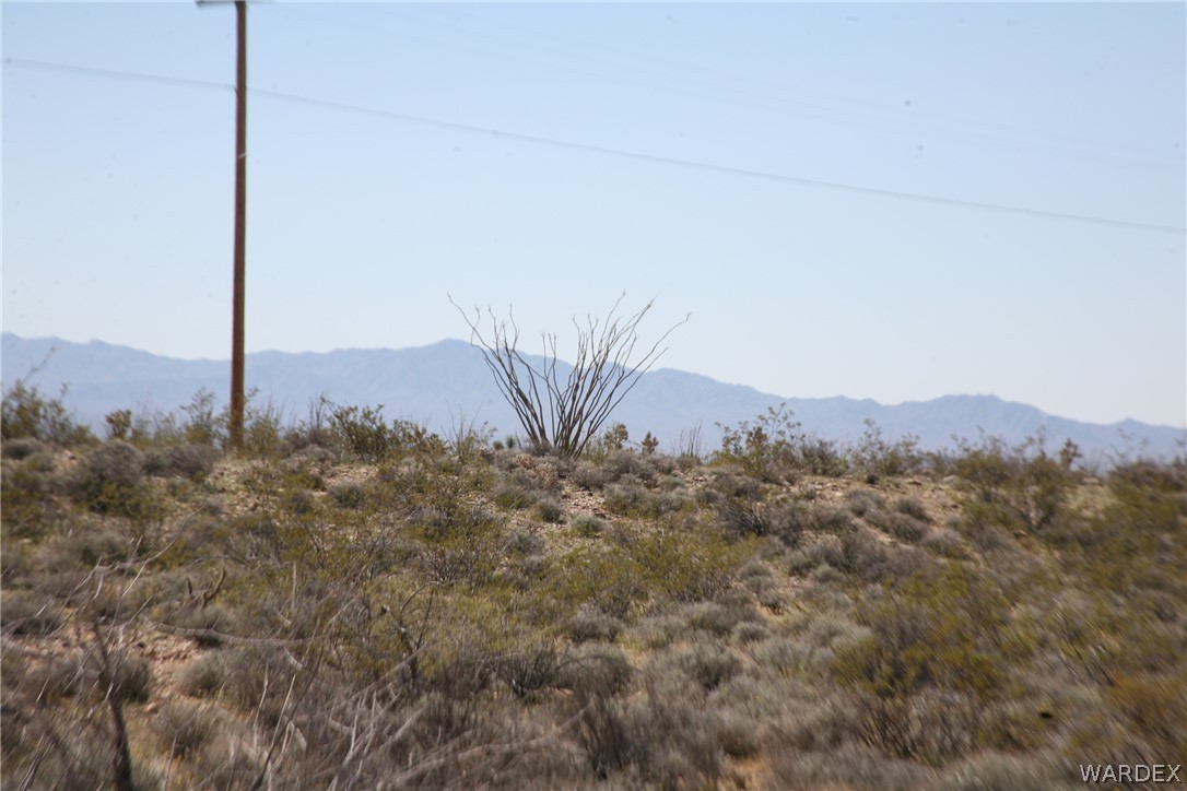 208-24-134 Cameron Road Yucca, AZ 86438 - Photo 62 of 86