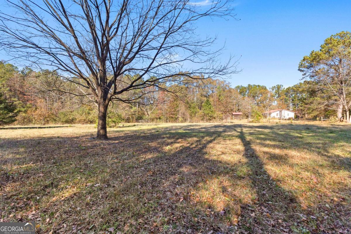 2540 Hannahs Mill Road Thomaston, GA 30286 - Photo 44 of 76 a view of yard with trees