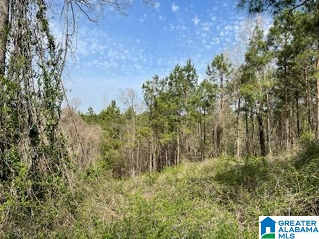 2659 Oldfield Road, Unit 1 Sylacauga, AL 35150 - Photo 5 of 5