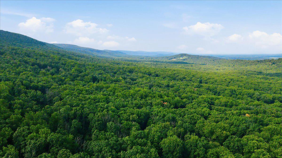 Nestled in the Blue Ridge Mountains.