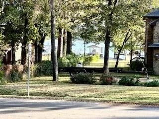 a view of a yard with large trees