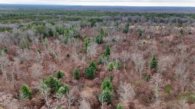 $140,000 | 3728 North Custer Road, Manistee, MI 49660