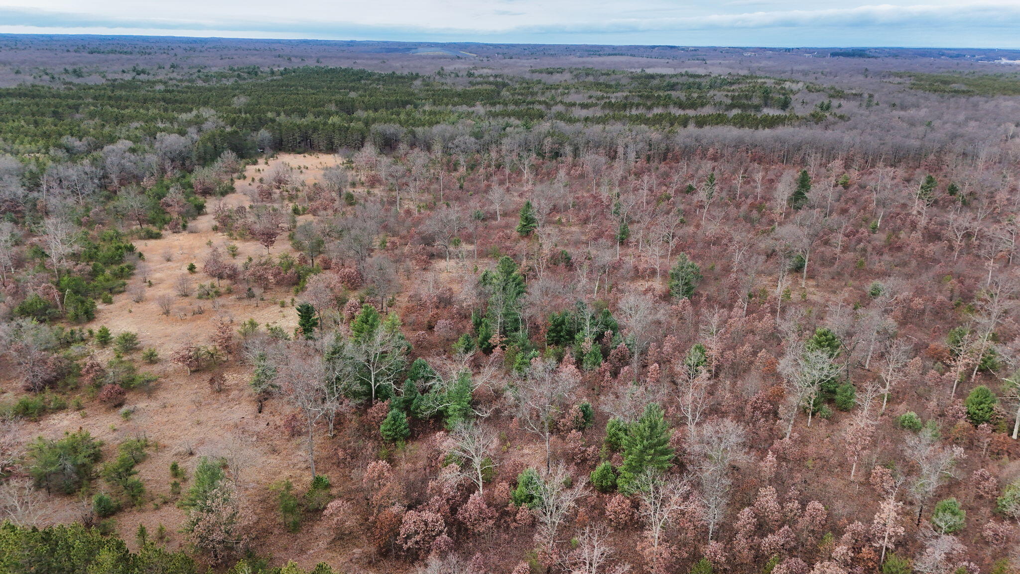 3728 North Custer Road Manistee, MI 49660 - Photo 14 of 31 10-web-or-mls-DJI_20241124095144_0198_D