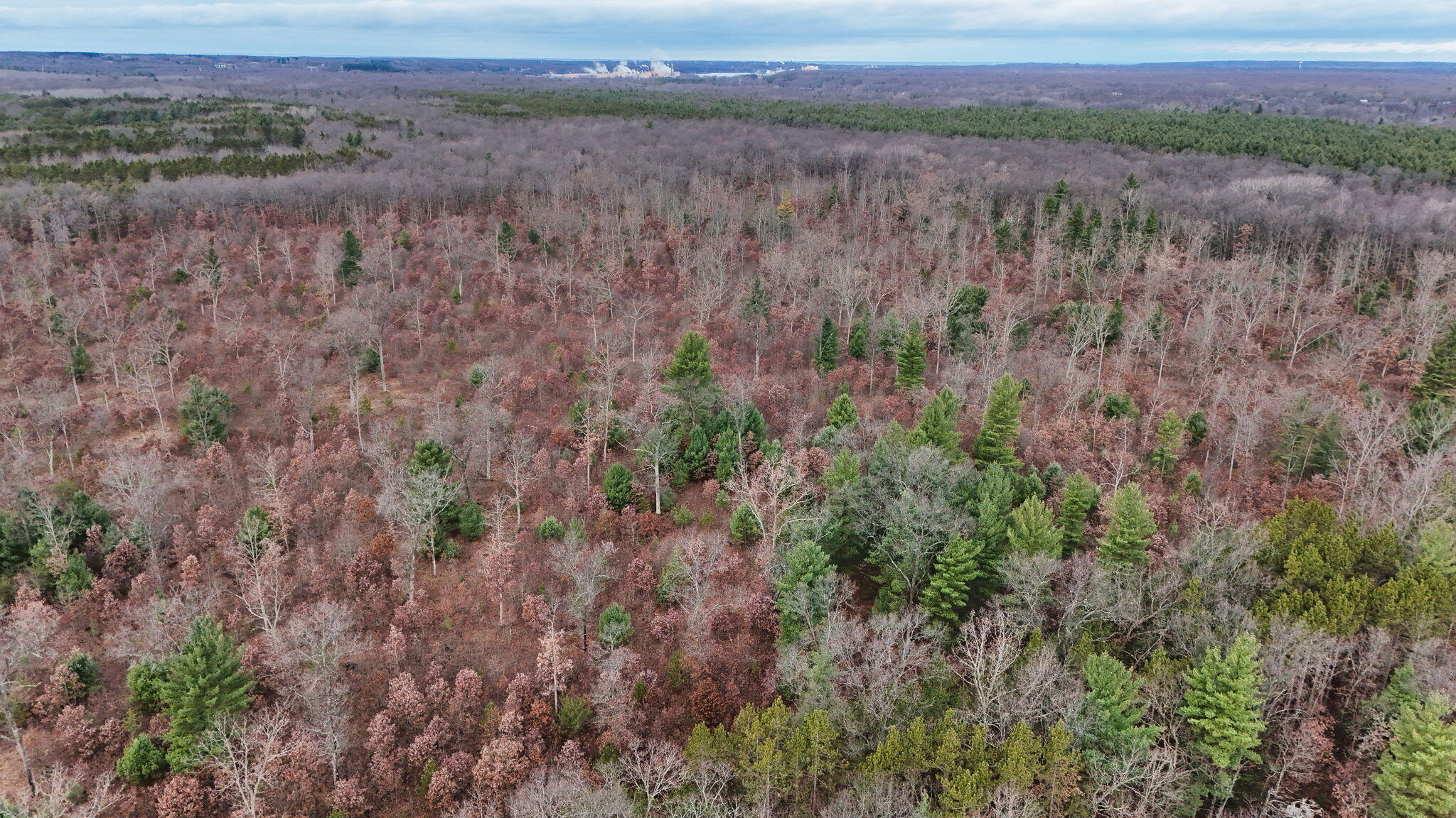 3728 North Custer Road Manistee, MI 49660 - Photo 15 of 31 11-web-or-mls-DJI_20241124095147_0199_D