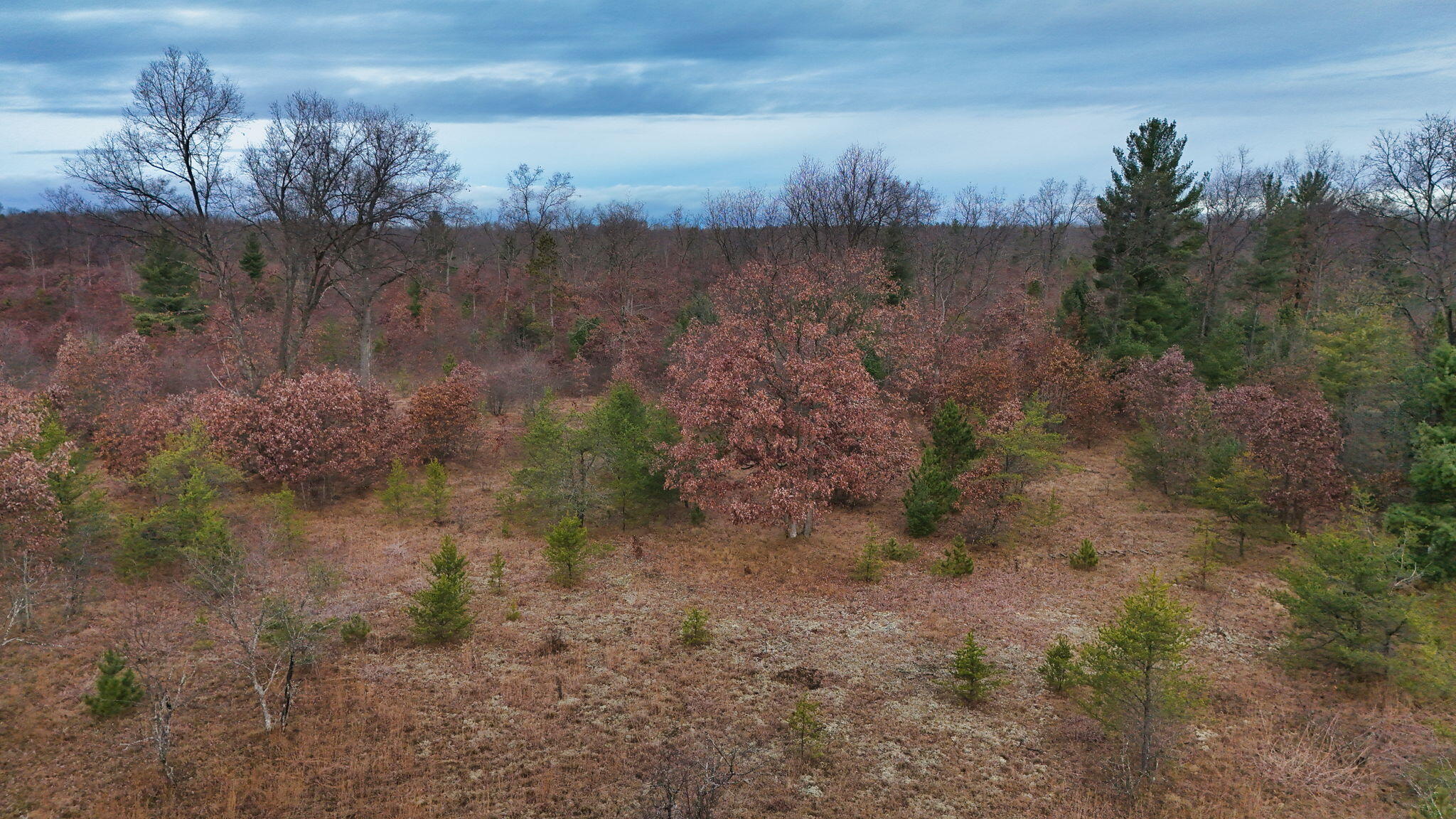 3728 North Custer Road Manistee, MI 49660 - Photo 17 of 31 13-web-or-mls-DJI_20241124095228_0203_D