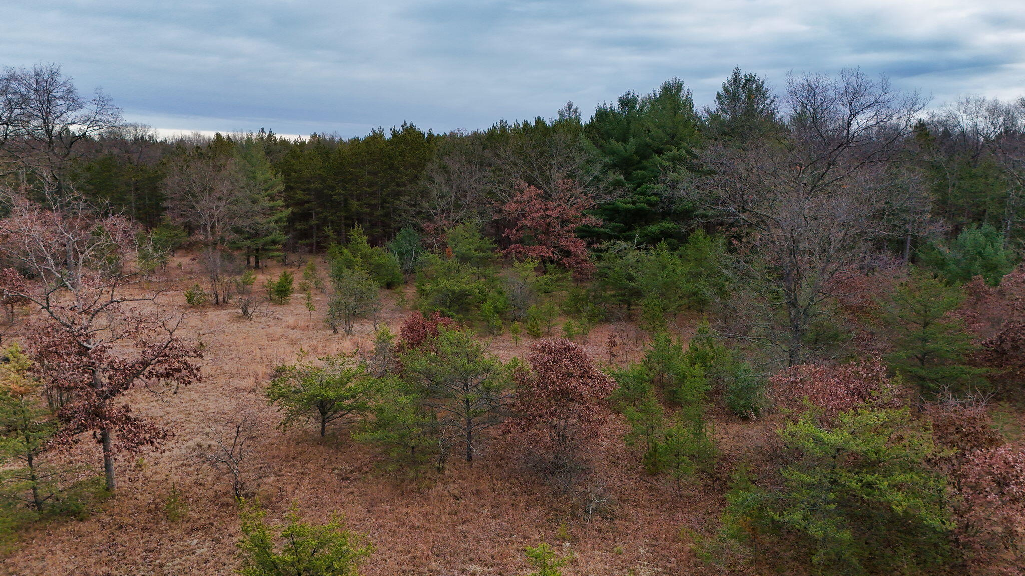 3728 North Custer Road Manistee, MI 49660 - Photo 18 of 31 15-web-or-mls-DJI_20241124095233_0205_D