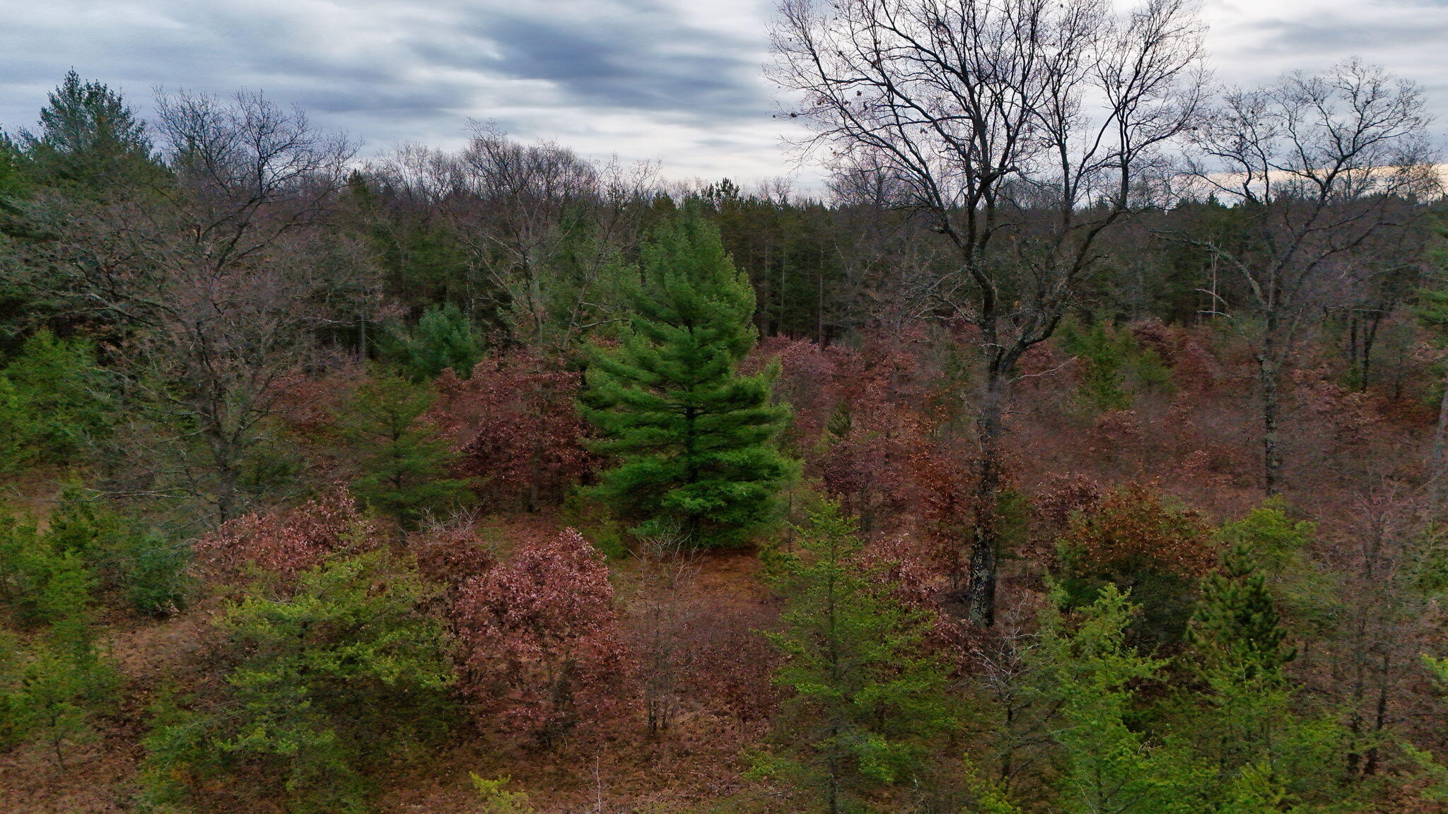 3728 North Custer Road Manistee, MI 49660 - Photo 19 of 31 16-web-or-mls-DJI_20241124095235_0206_D