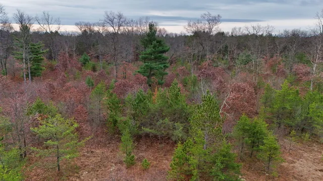 $140,000 | 3728 North Custer Road, Manistee, MI 49660