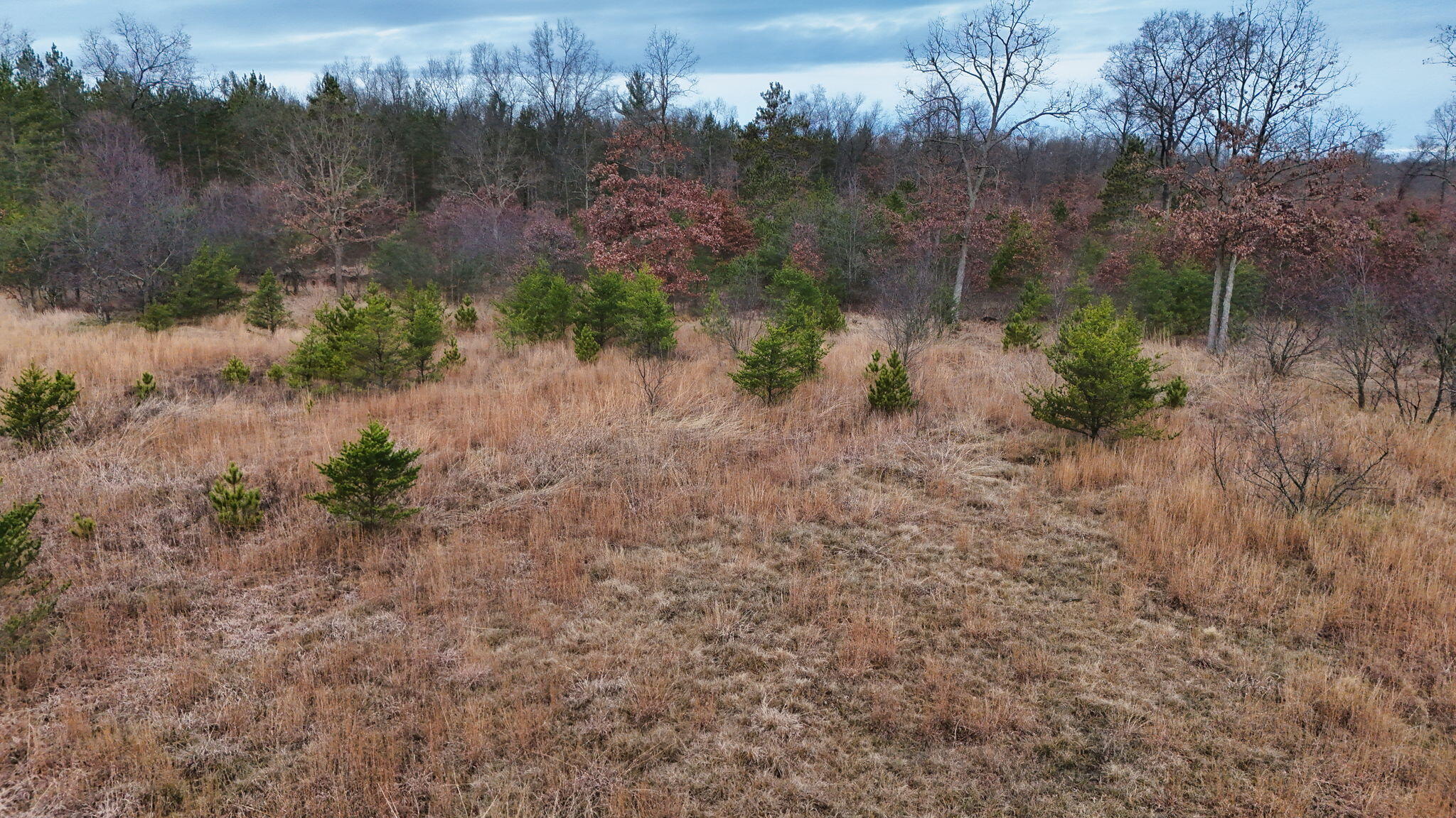 3728 North Custer Road Manistee, MI 49660 - Photo 22 of 31 20-web-or-mls-DJI_20241124095333_0212_D