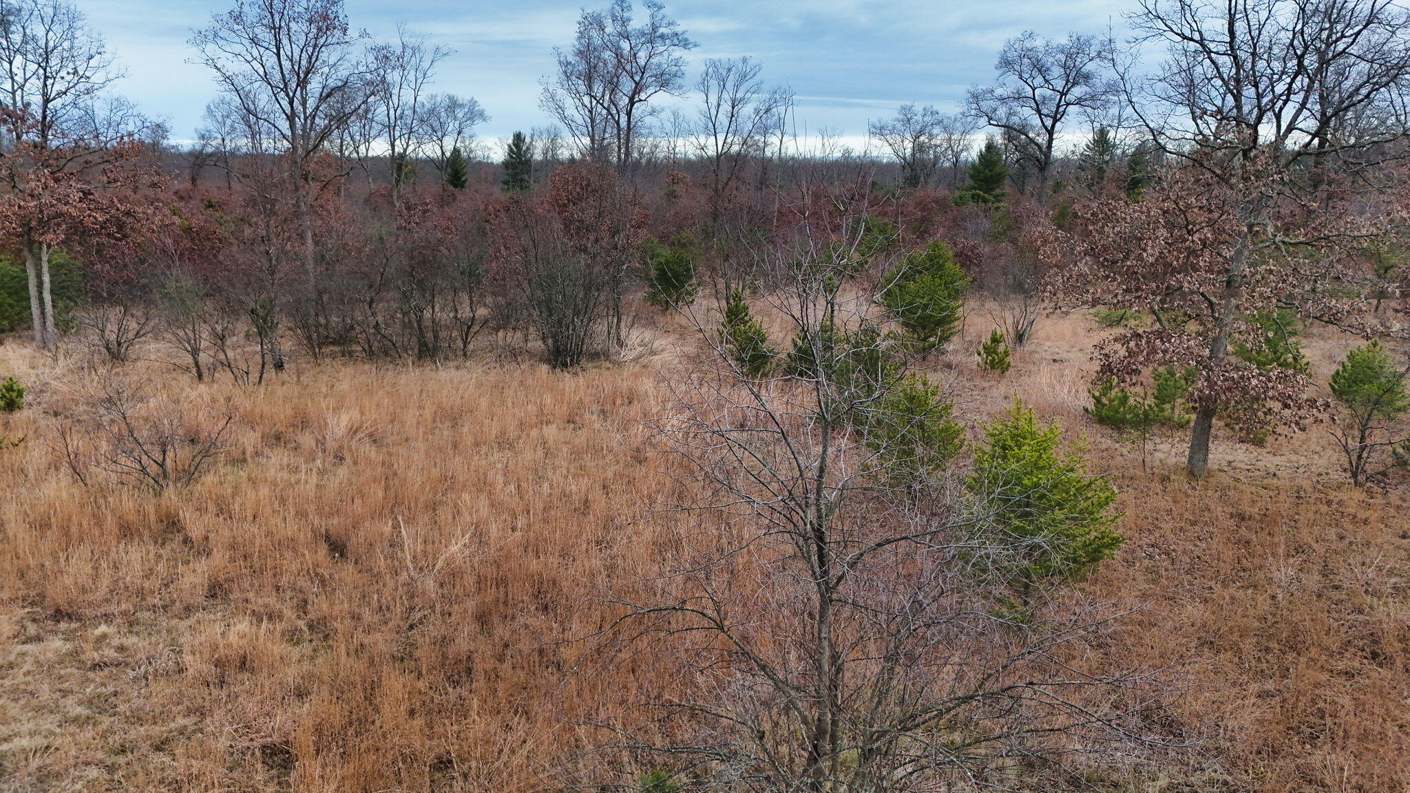 3728 North Custer Road Manistee, MI 49660 - Photo 23 of 31 21-web-or-mls-DJI_20241124095335_0213_D