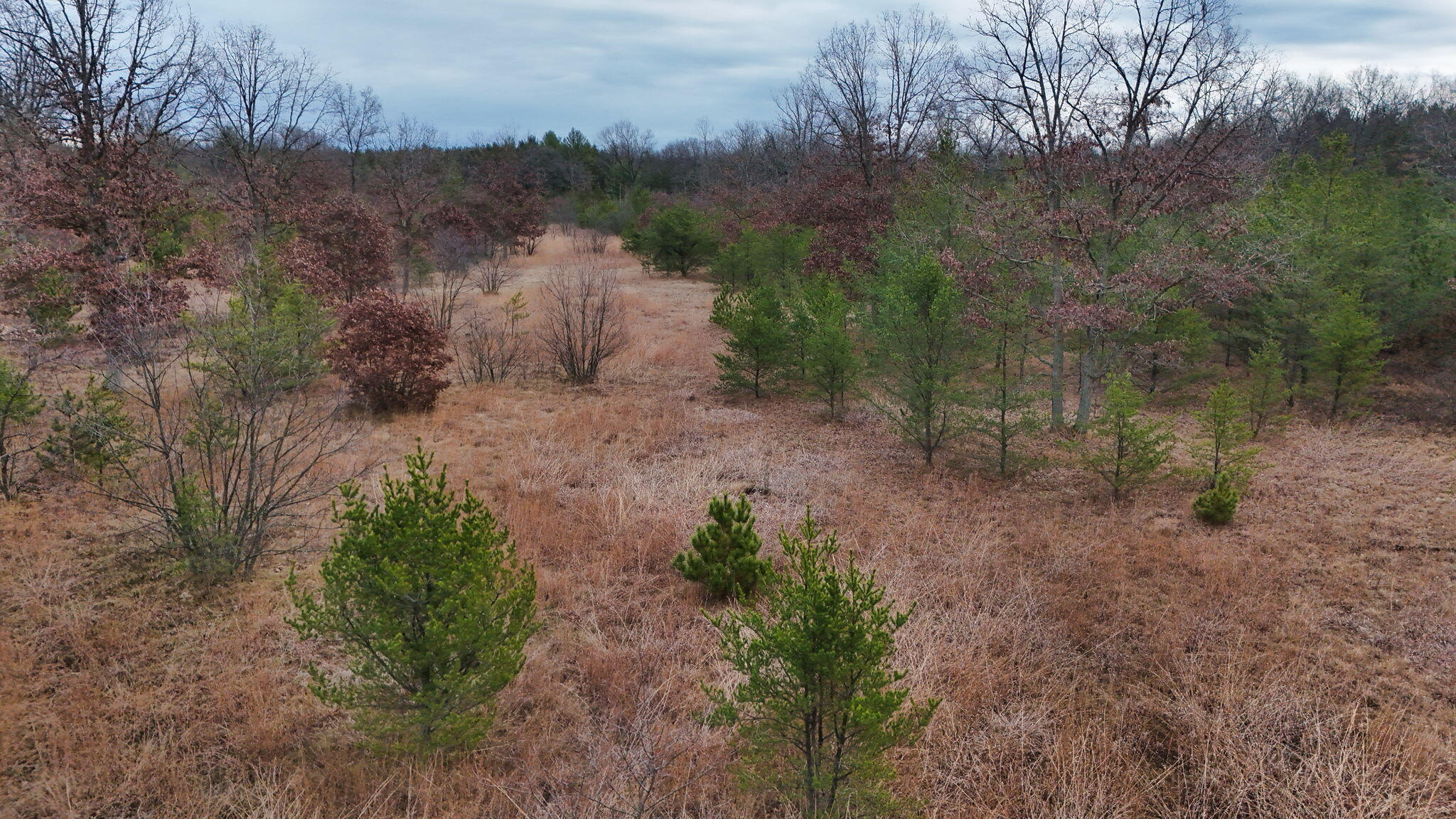 3728 North Custer Road Manistee, MI 49660 - Photo 24 of 31 22-web-or-mls-DJI_20241124095337_0214_D