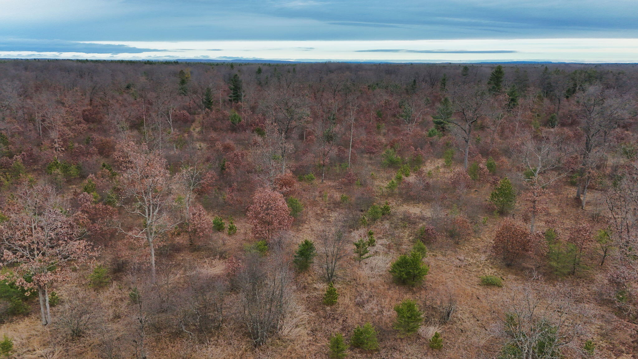 3728 North Custer Road Manistee, MI 49660 - Photo 25 of 31 23-web-or-mls-DJI_20241124095344_0215_D