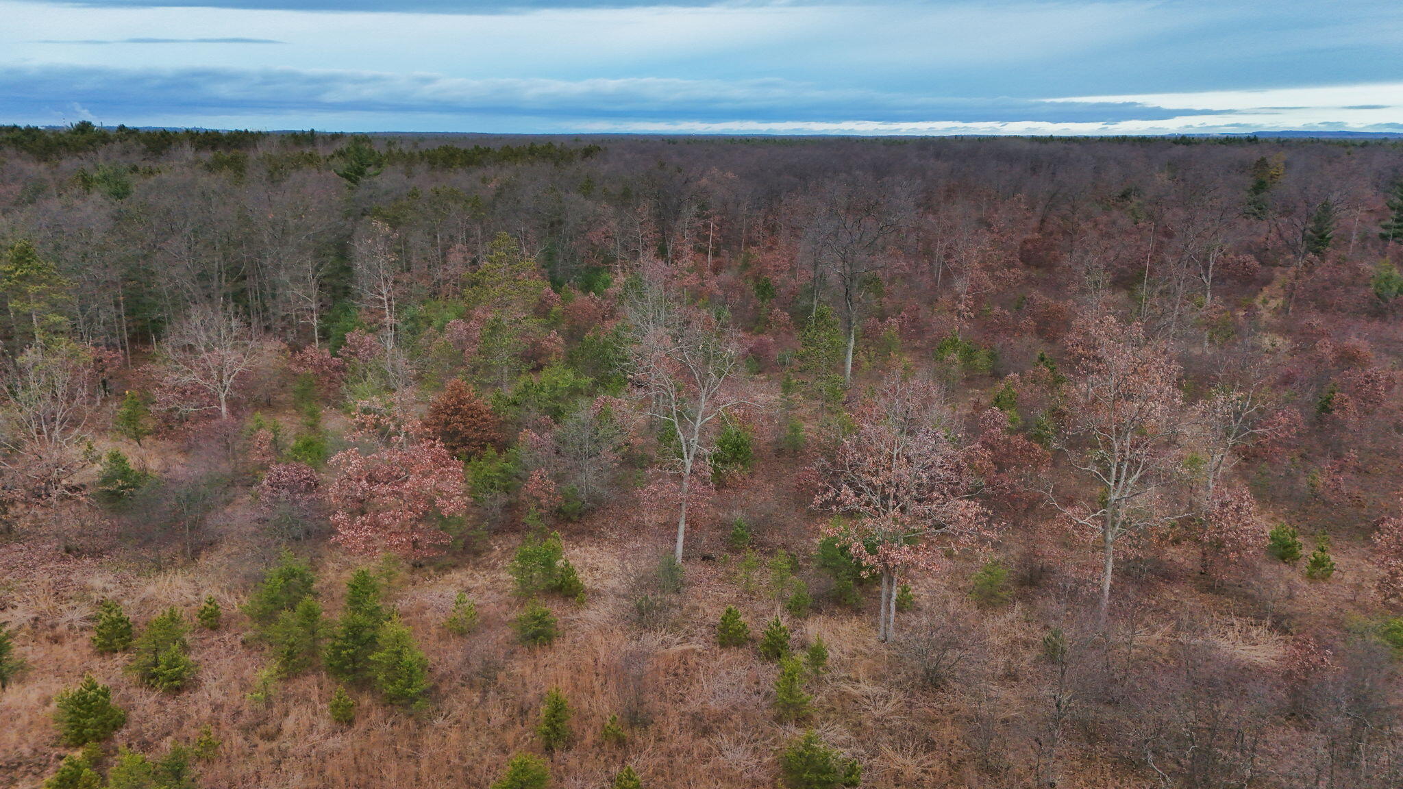 3728 North Custer Road Manistee, MI 49660 - Photo 26 of 31 24-web-or-mls-DJI_20241124095345_0216_D