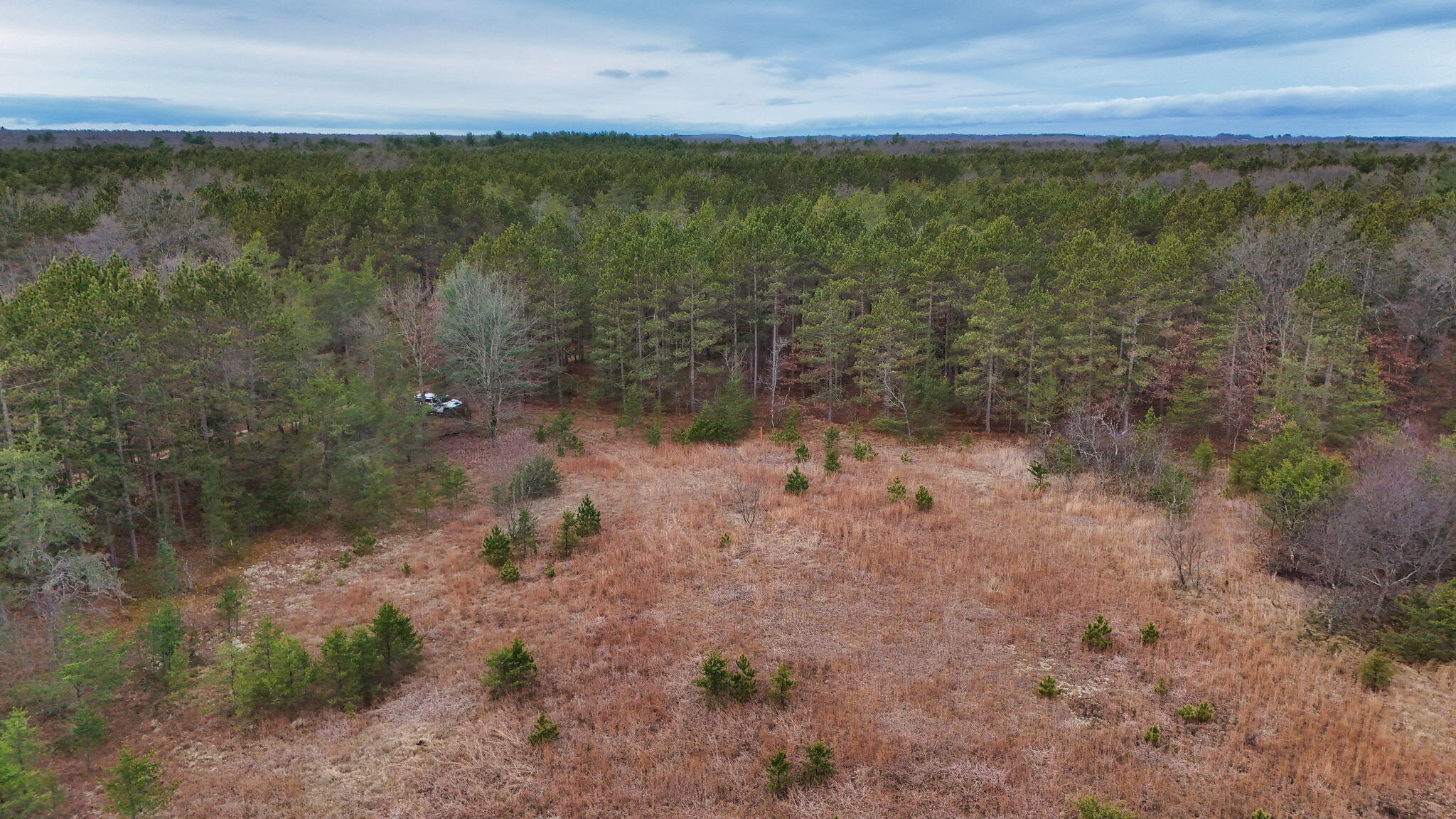 3728 North Custer Road Manistee, MI 49660 - Photo 27 of 31 25-web-or-mls-DJI_20241124095348_0217_D