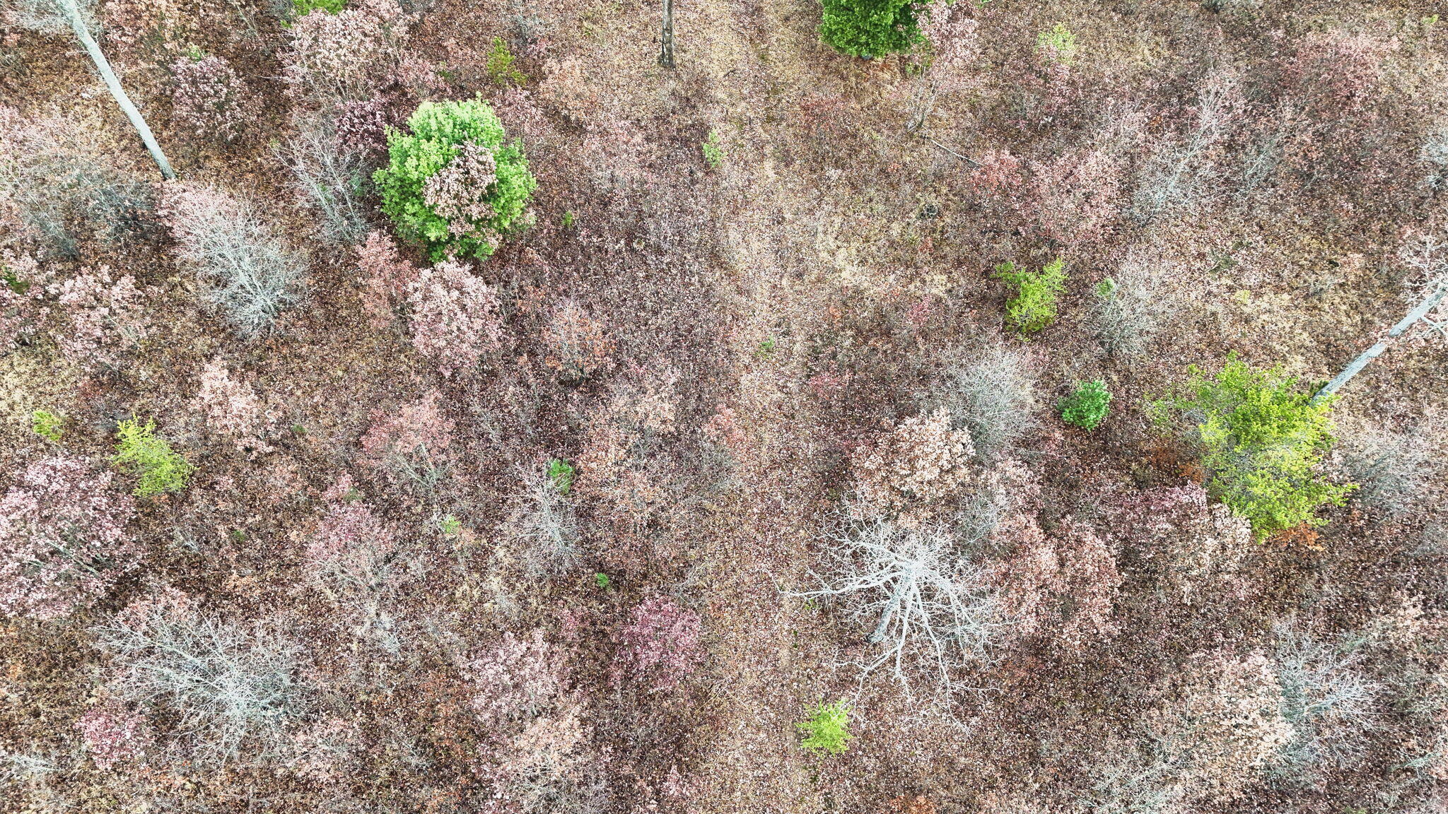 3728 North Custer Road Manistee, MI 49660 - Photo 28 of 31 26-web-or-mls-DJI_20241124095411_0218_D