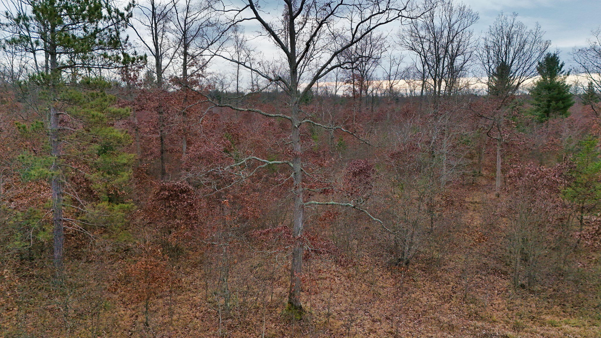 3728 North Custer Road Manistee, MI 49660 - Photo 30 of 31 30-web-or-mls-DJI_20241124095520_0222_D