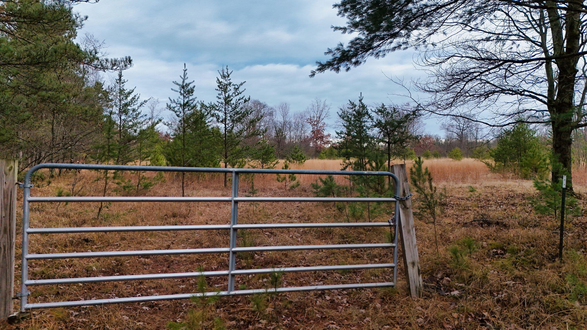 3728 North Custer Road Manistee, MI 49660 - Photo 3 of 31 3-web-or-mls-DJI_20241124094807_0186_D