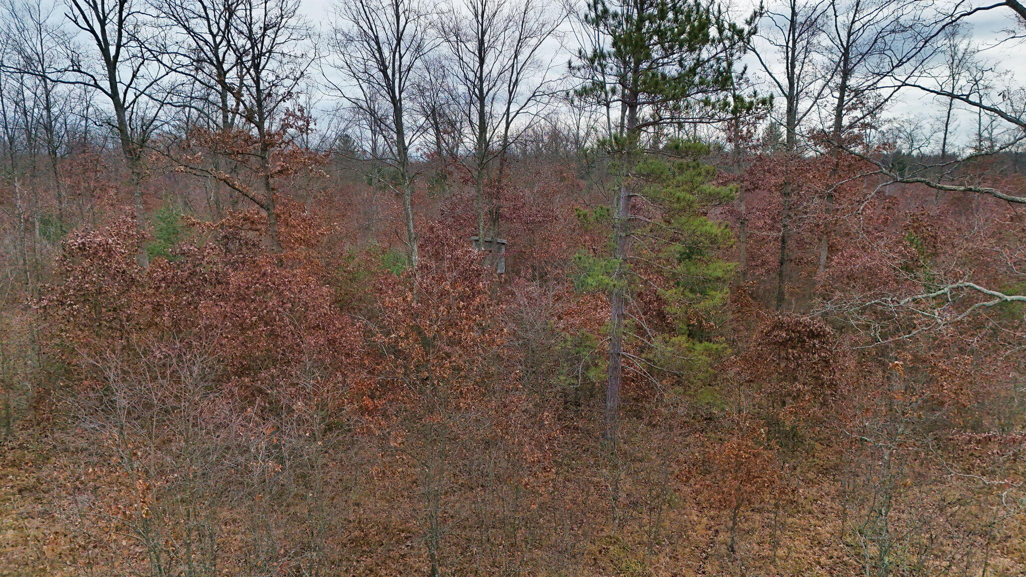 3728 North Custer Road Manistee, MI 49660 - Photo 31 of 31 31-web-or-mls-DJI_20241124095523_0223_D