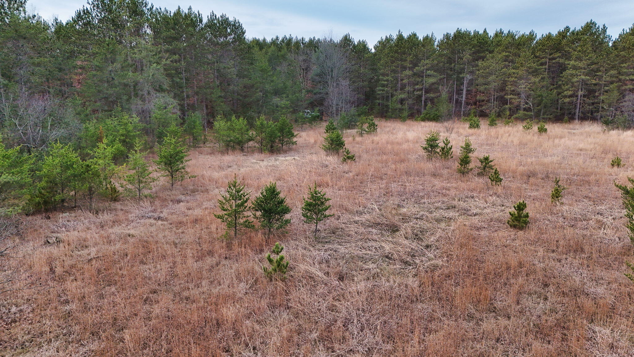 3728 North Custer Road Manistee, MI 49660 - Photo 4 of 31 18-web-or-mls-DJI_20241124095329_0210_D