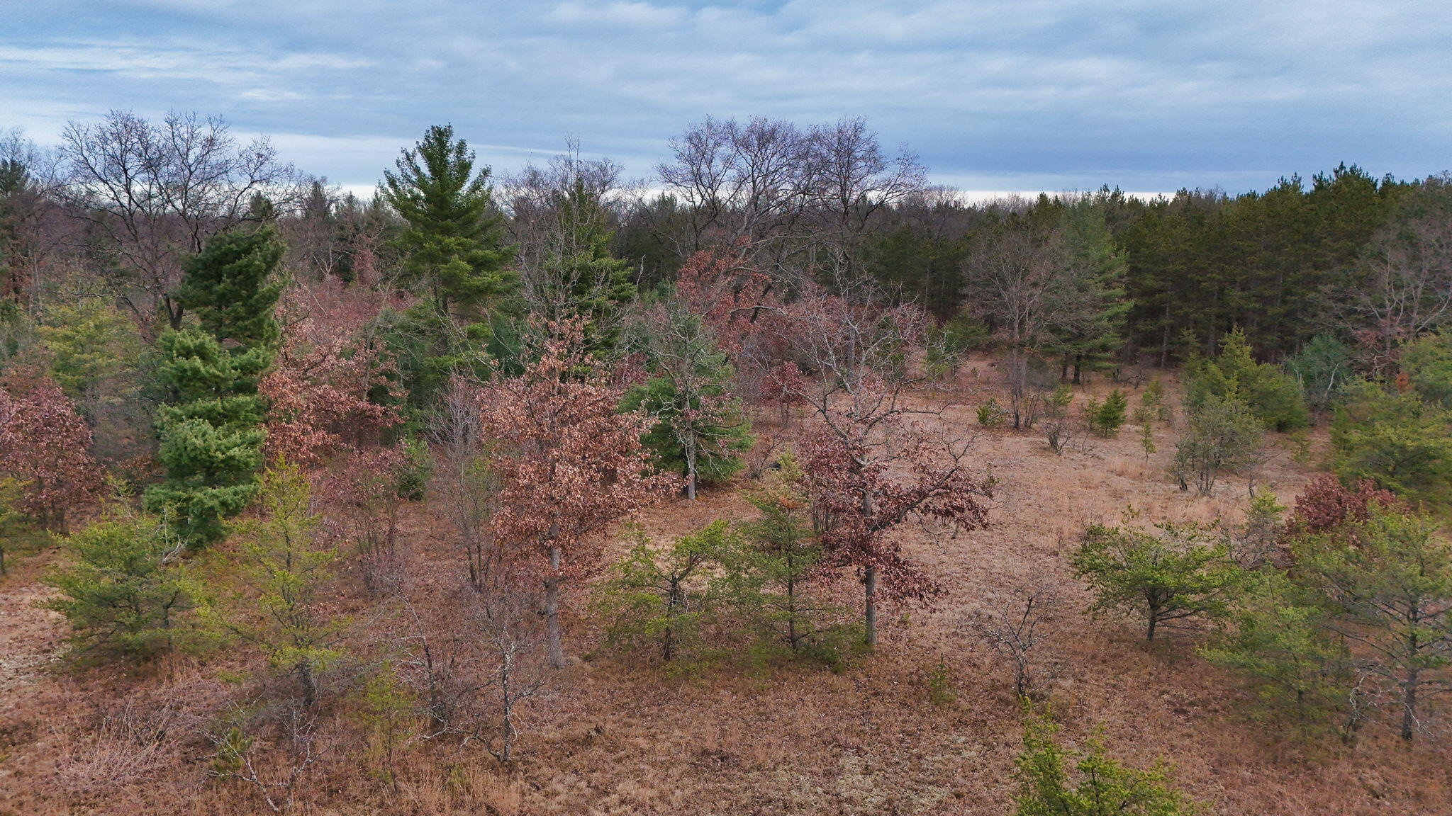 3728 North Custer Road Manistee, MI 49660 - Photo 5 of 31 14-web-or-mls-DJI_20241124095231_0204_D
