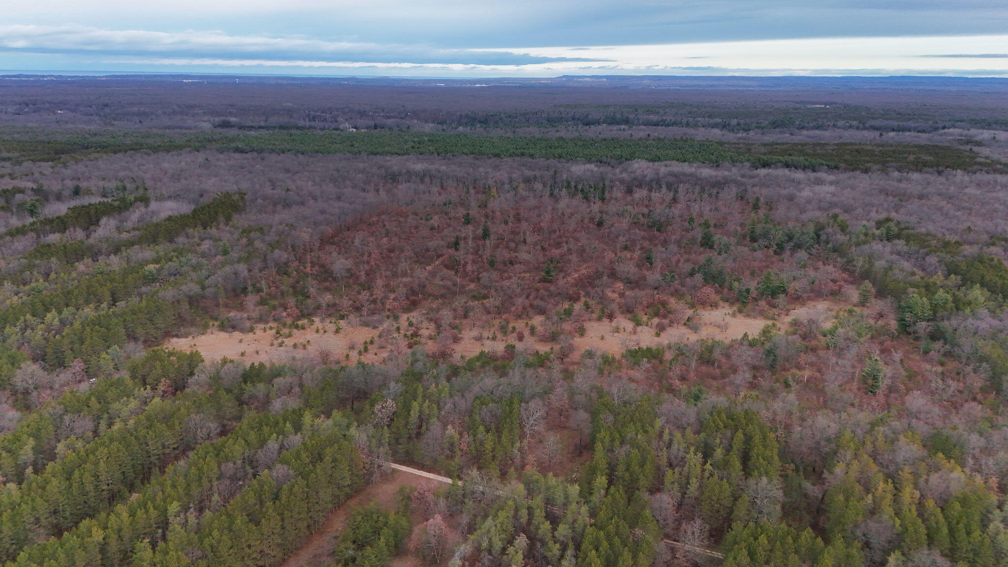 3728 North Custer Road Manistee, MI 49660 - Photo 7 of 31 1-web-or-mls-DJI_20241124095729_0227_D