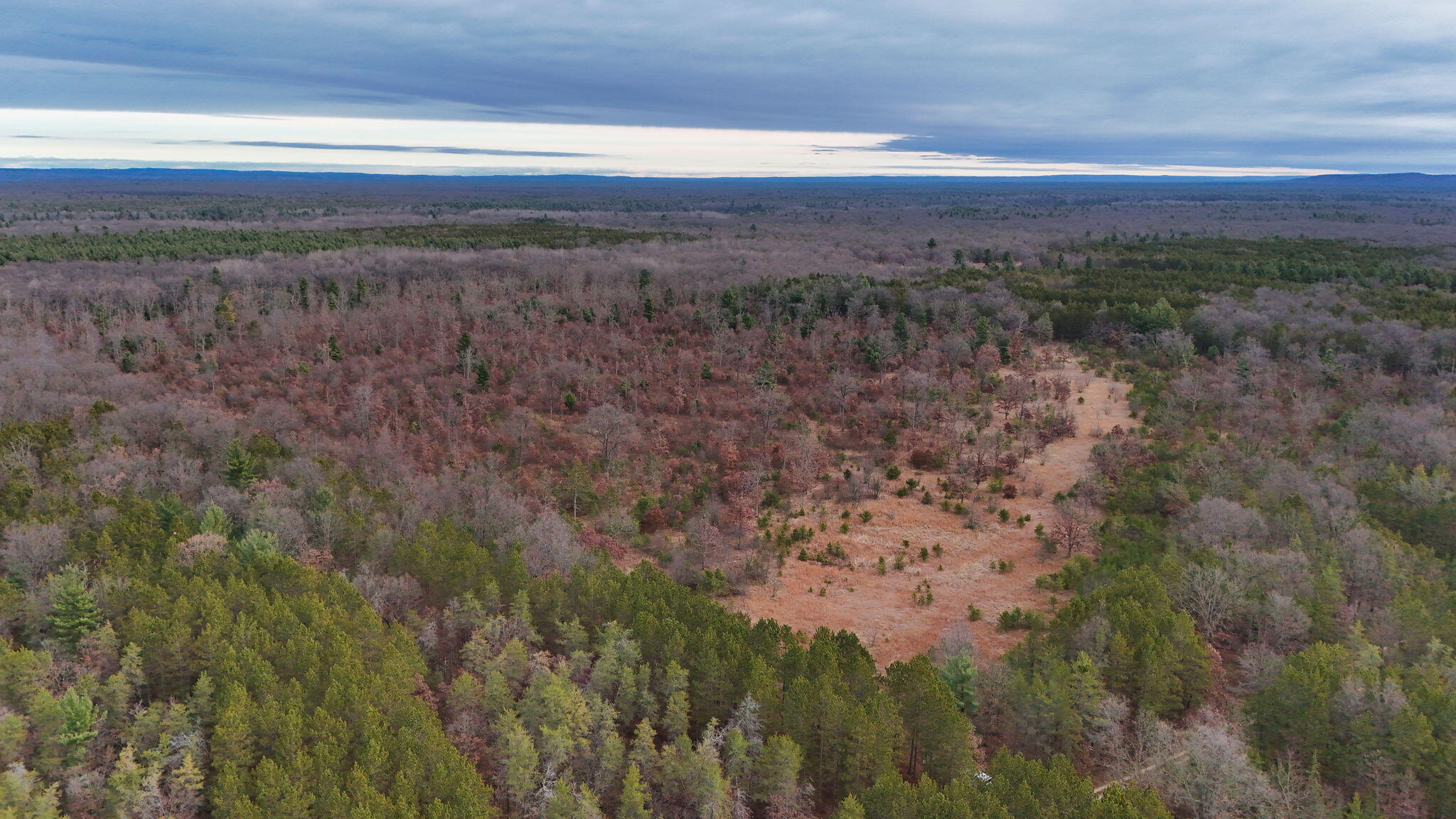 3728 North Custer Road Manistee, MI 49660 - Photo 8 of 31 2-web-or-mls-DJI_20241124094915_0189_D