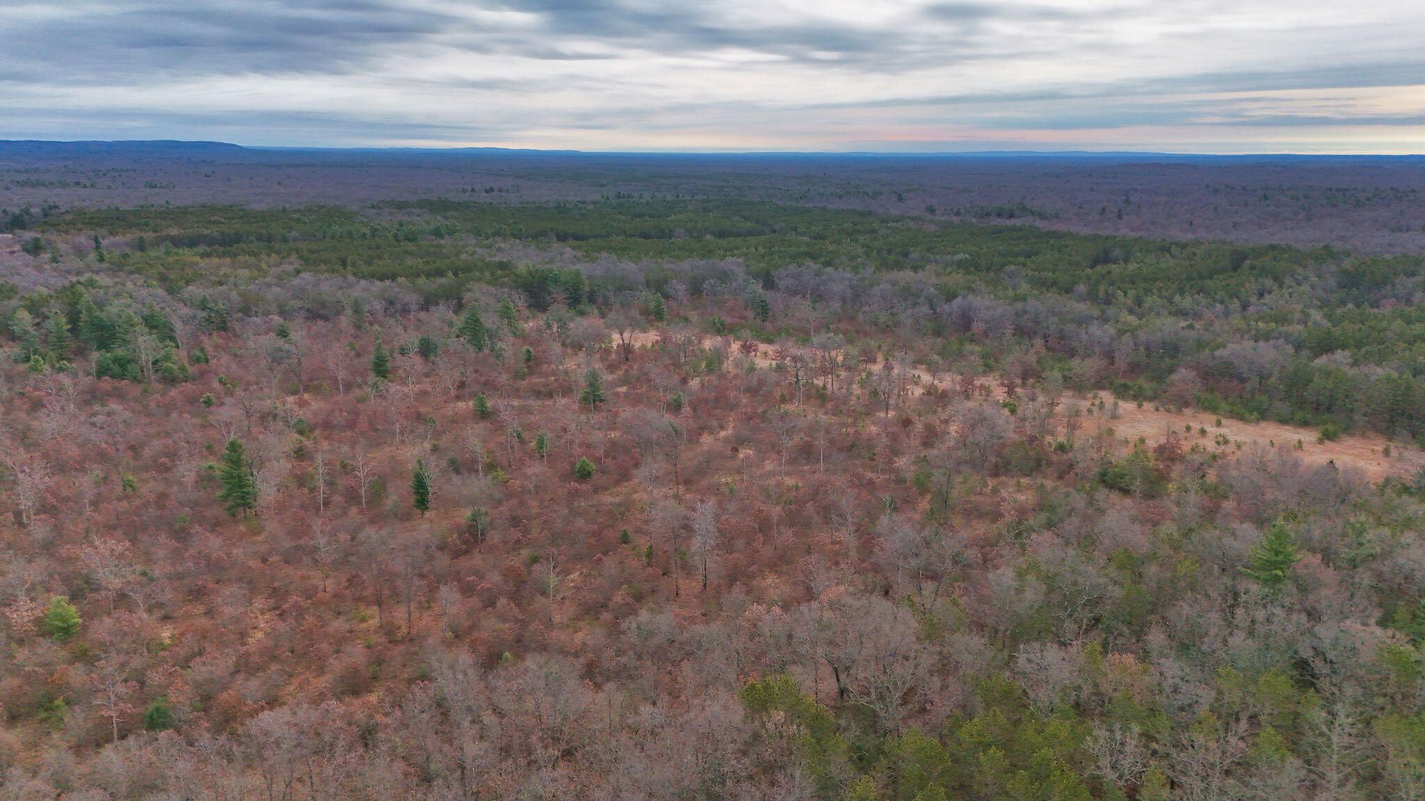 3728 North Custer Road Manistee, MI 49660 - Photo 9 of 31 5-web-or-mls-DJI_20241124094954_0191_D