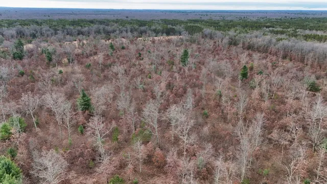 $140,000 | 3728 North Custer Road, Manistee, MI 49660