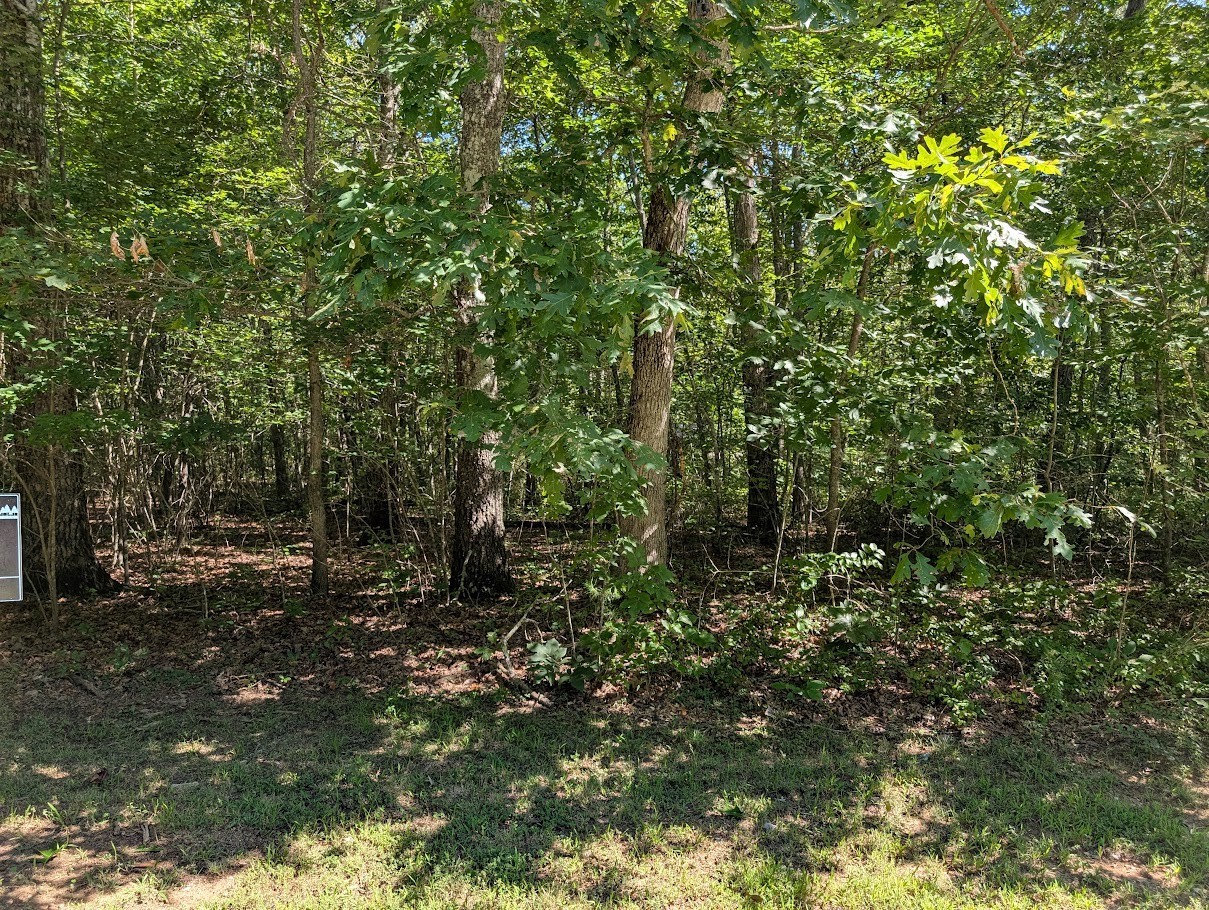 140 Sunset Bluff Monteagle, TN 37356 - Photo 9 of 28