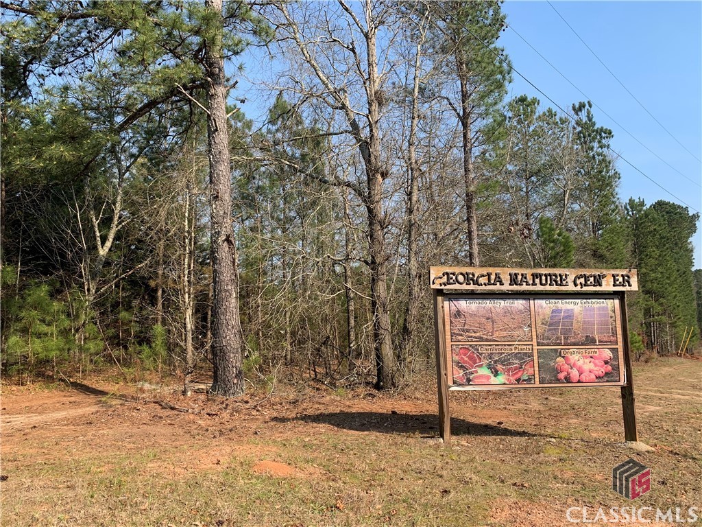 3003 Salem Road Watkinsville, GA 30677 - Photo 3 of 29