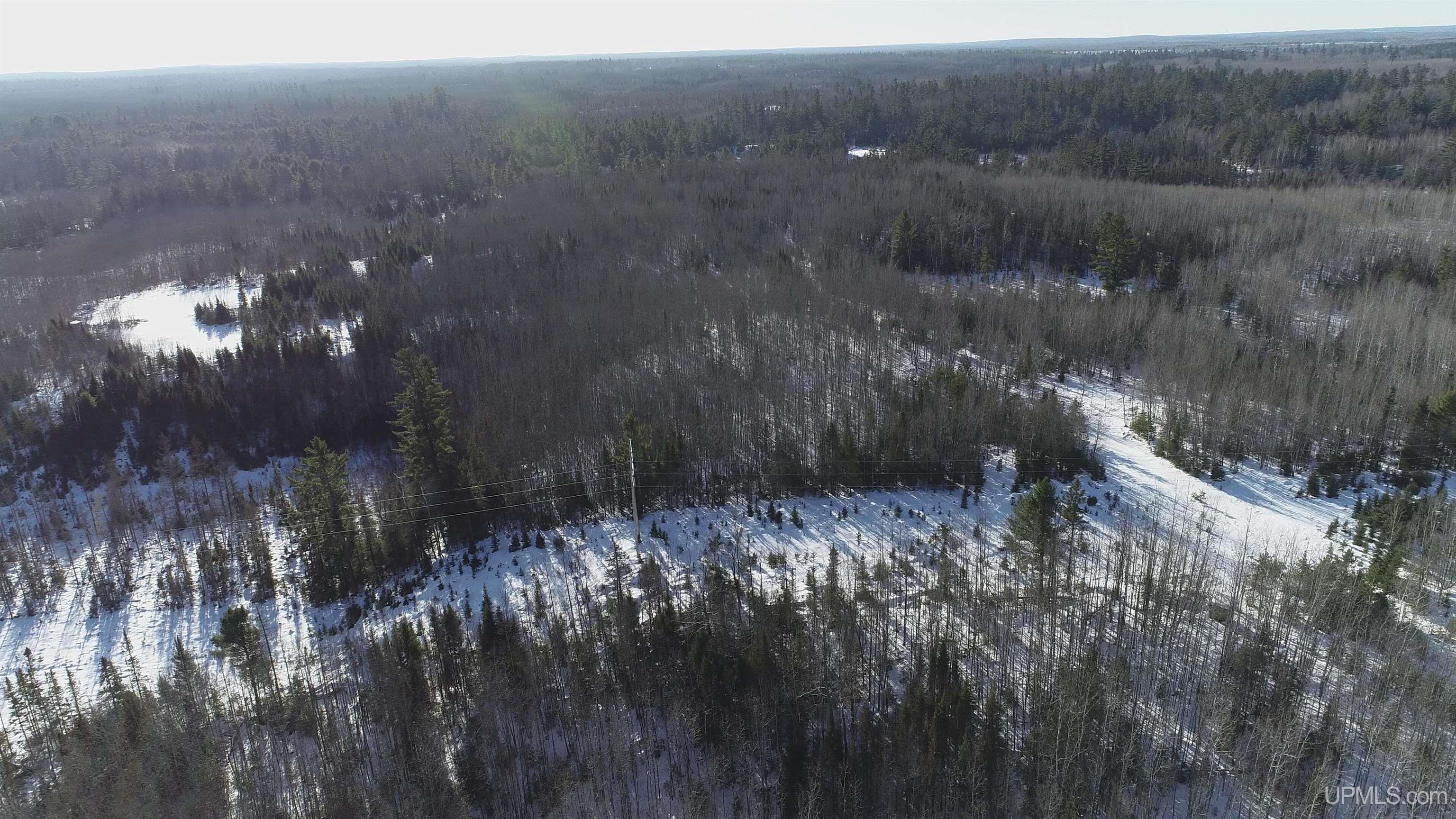 20-acres Co Rd 20-acres Co Road Champion, MI 49814 - Photo 13 of 34