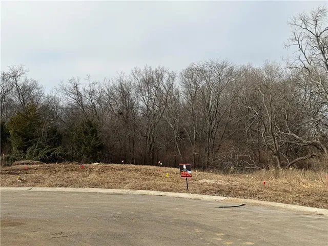 $989,900 | 8910 Ginger Street, Lenexa, KS 66227