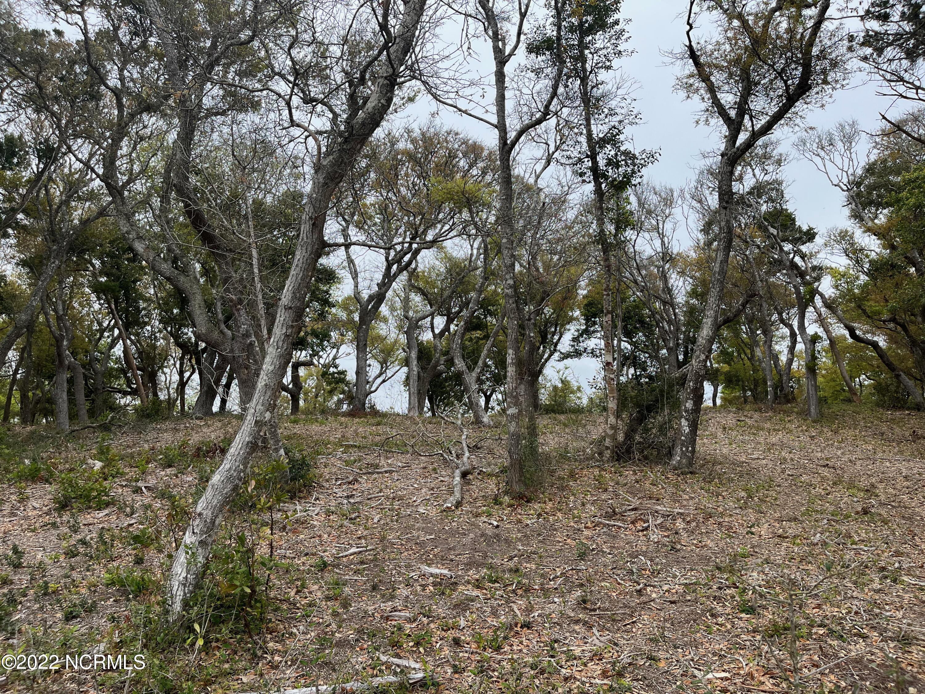 1798 Salter Path Road Atlantic Beach, NC 28512 - Photo 1 of 2 roadside