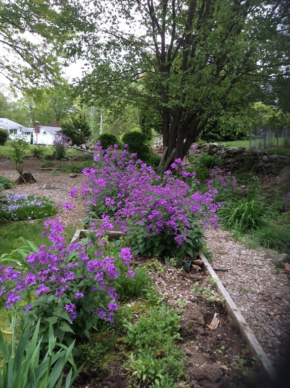 21 Leslie Road Worcester, MA 01605 - Photo 38 of 41