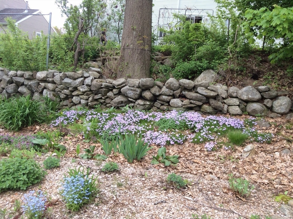 21 Leslie Road Worcester, MA 01605 - Photo 39 of 41