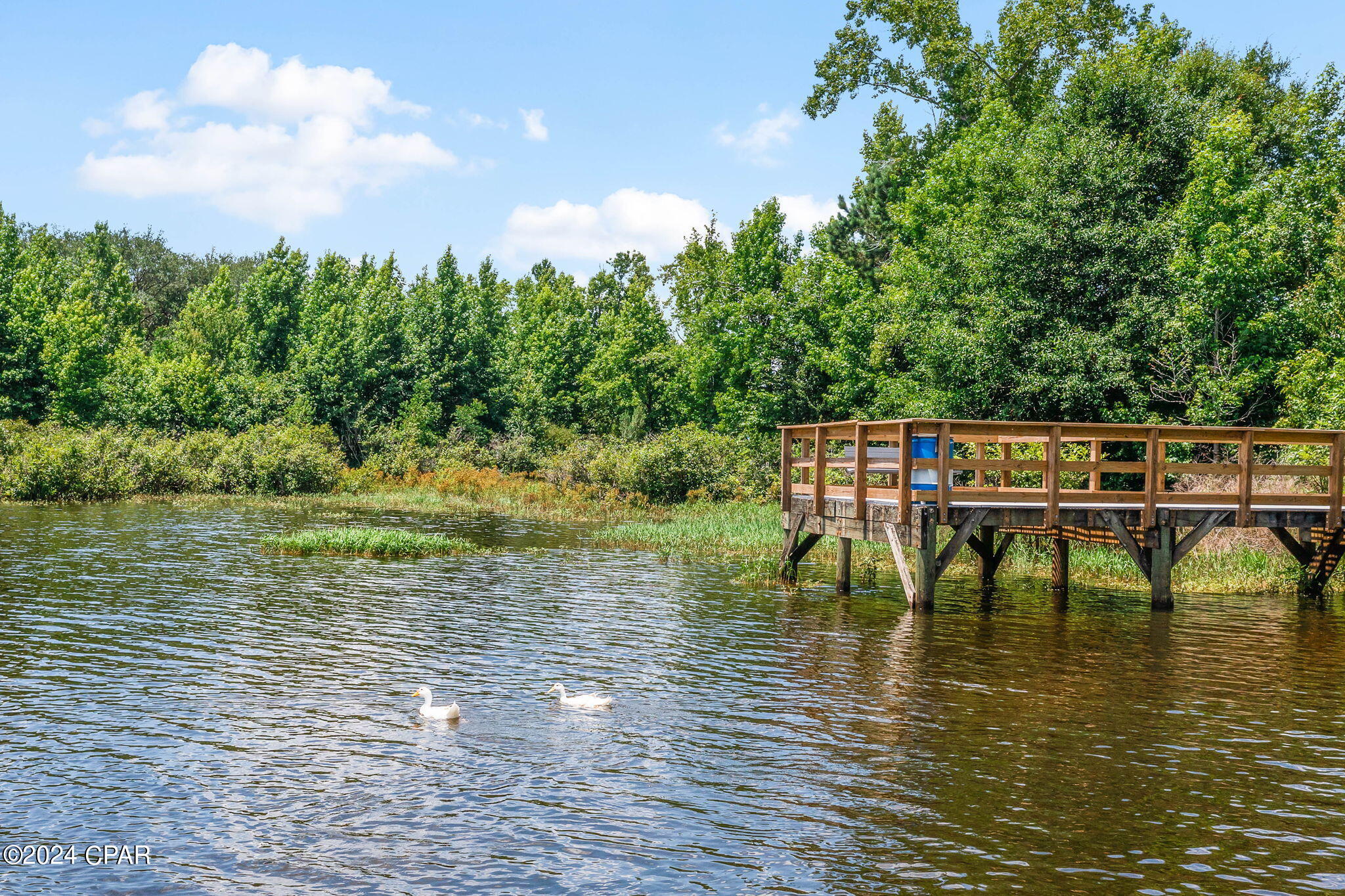 Tbd Tbd 77th Chipley, FL 32428 - Photo 3 of 21