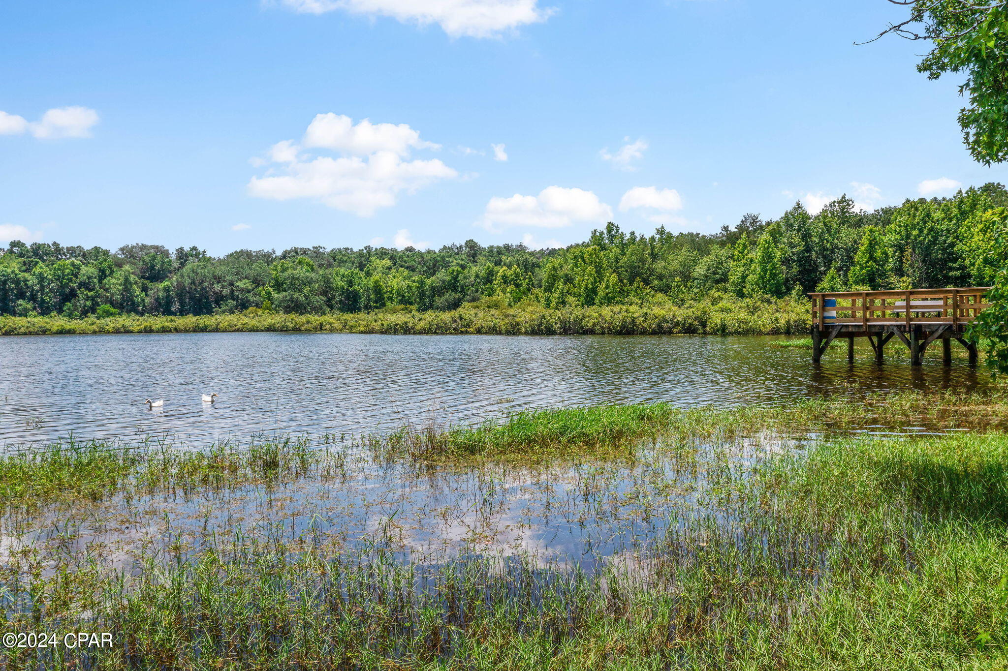 Tbd Tbd 77th Chipley, FL 32428 - Photo 4 of 21