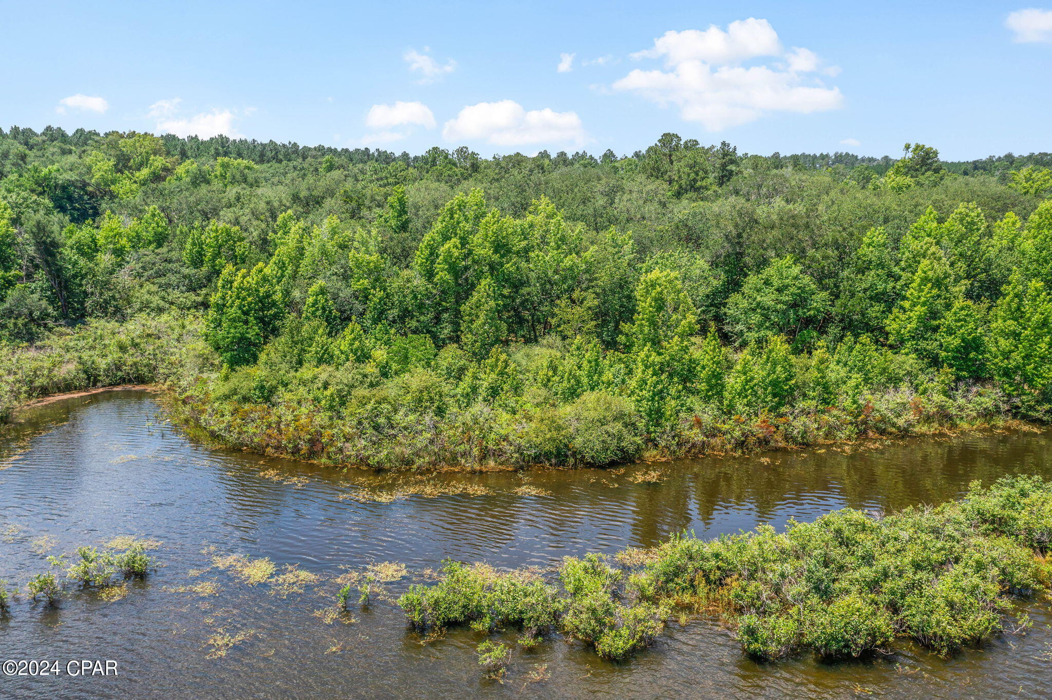 Tbd Tbd 77th Chipley, FL 32428 - Photo 8 of 21