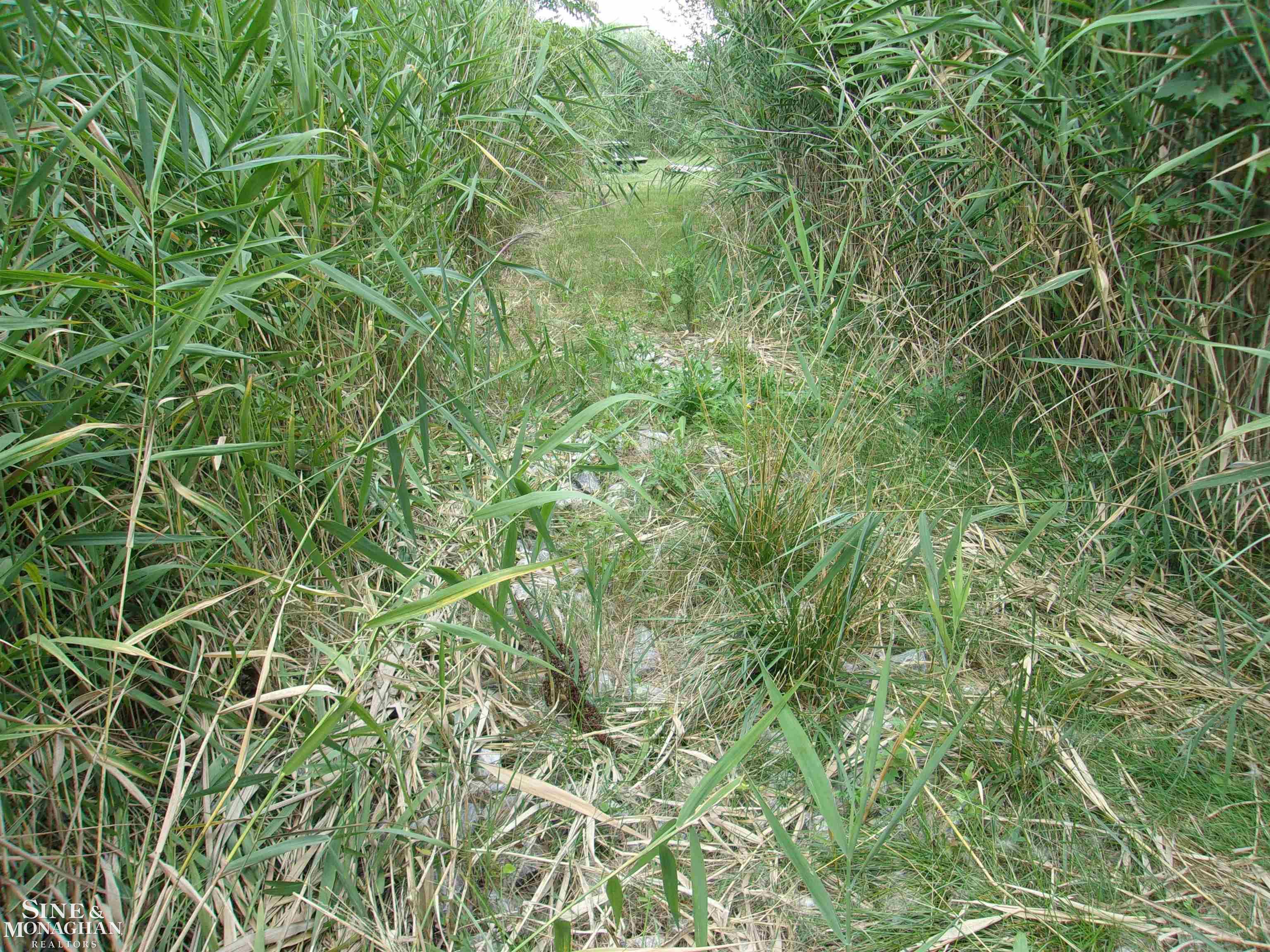 0 Jerry Road Harsens Island, MI 48028 - Photo 5 of 11 50087716-4.JPG