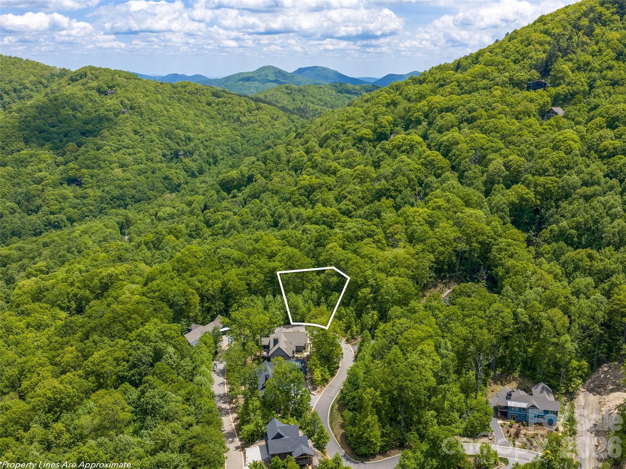 11 Crockett Ridge Road Black Mountain, NC 28711 - Photo 14 of 19 a view of a mountain with a garden