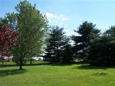 112 Pacer Road Wilmore, KY 40390 - Photo 9 of 77 Photo 9